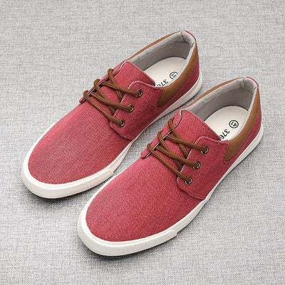 Zapatos de Lona para Hombre con Suela Flexible