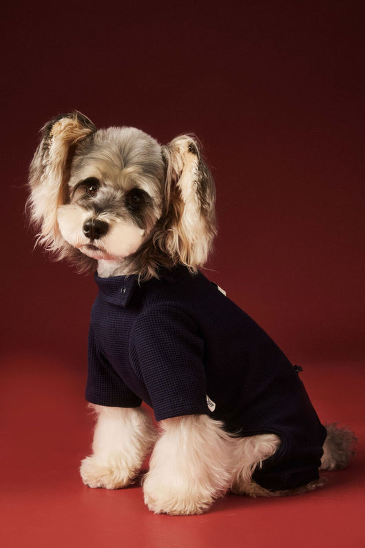 Ropa Térmica para Perros - Abrigo Waffle Otoño e Invierno - Image 20