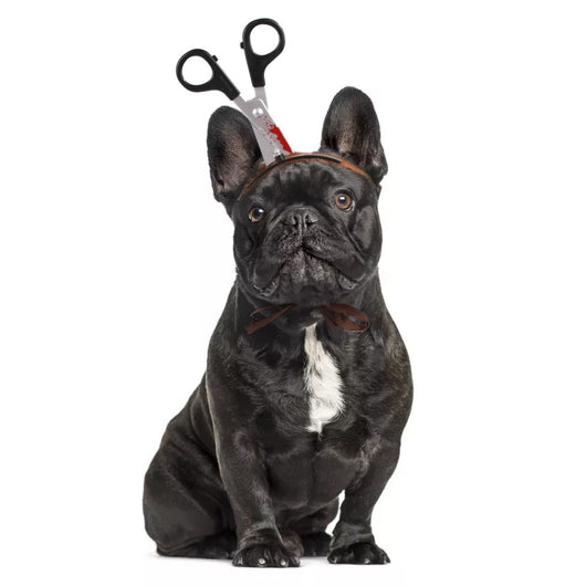 Diademas y Tocados para Mascotas - Accesorios Halloween para Perros y Gatos - Image 15