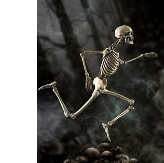 Modelo Anatómico de Esqueleto en Miniatura