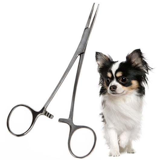 Tijeras de Aseo para Mascotas - Acero Inoxidable Profesional - Image 7