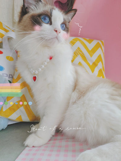 Collar de Cuentas para Gatos Amor y Conexión - Image 11