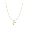 S925 sterling Plateado vintage 26 letter necklace J