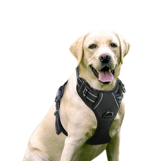 Arnés Chaleco para Perros Medianos y Grandes - Image 13