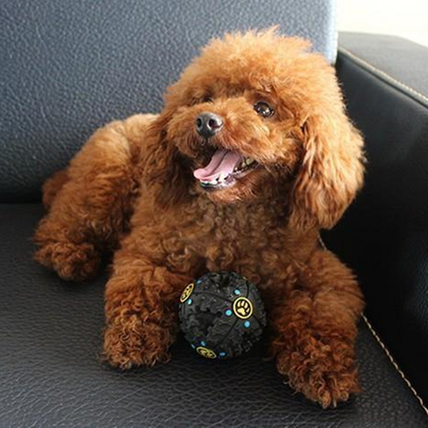 Pelota Interactiva Paw Prime - Juguete Inteligente para Mascotas