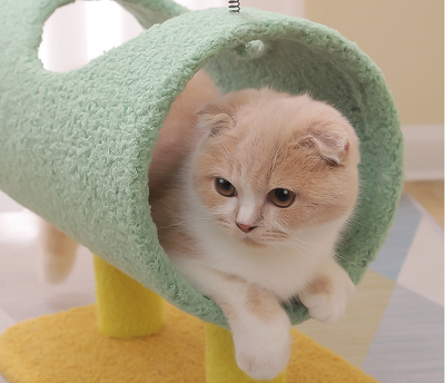 Árbol Rascador para Gatos Resistente con Arenero Integrado - Image 15