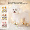Botines Térmicos para Perros - Zapatos de Invierno Antideslizantes para Mascotas
