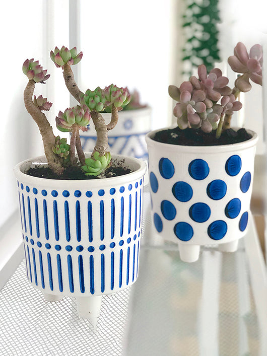 Maceta Decorativa Pintada a Mano con Cactus y Suculentas - Diseño Artístico - Image 3