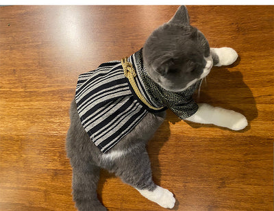 Disfraz de Guerrero Samurái para Perros - Estilo Kimono Japonés - Image 15