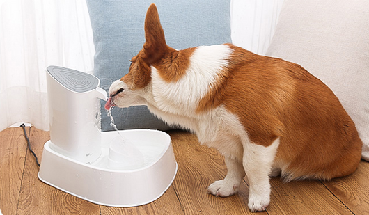 Dispensador Automático de Agua para Perros y Gatos - Image 5