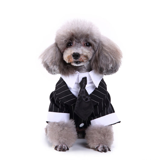 Traje Deportivo para Perros - Image 6