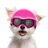 Casco de Seguridad para Mascotas en Moto - Protección Divertida para Perros y Gatos - Image 17