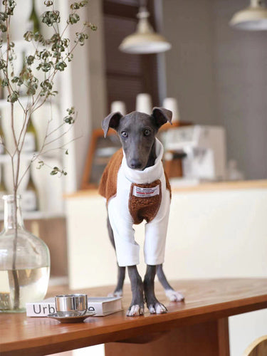 Ropa para Perros Pequeños y Medianos Whybit - Accesorios para Galgos
