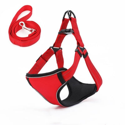 Arnés Chaleco para Pasear Perros con Cuerda Integrada - Image 8