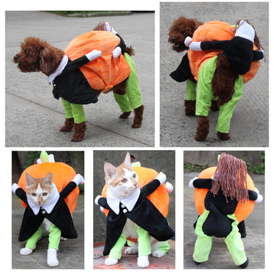 Ropa y Accesorios para Mascotas - Image 5