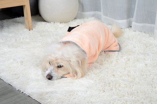 Toalla de Baño Absorbente para Perros y Gatos - Secado Rápido Microfibra - Image 18
