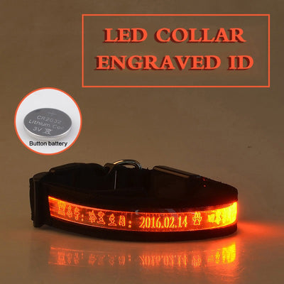 Collar Luminoso para Perros con Grabado Radium - Identificación Nocturna - Image 14