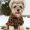 Suéter Cálido para Perro con Estampado Leopardo