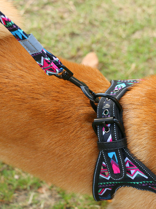 Correa Colorida Antiexplosión para Perros Pequeños y Medianos - Image 9