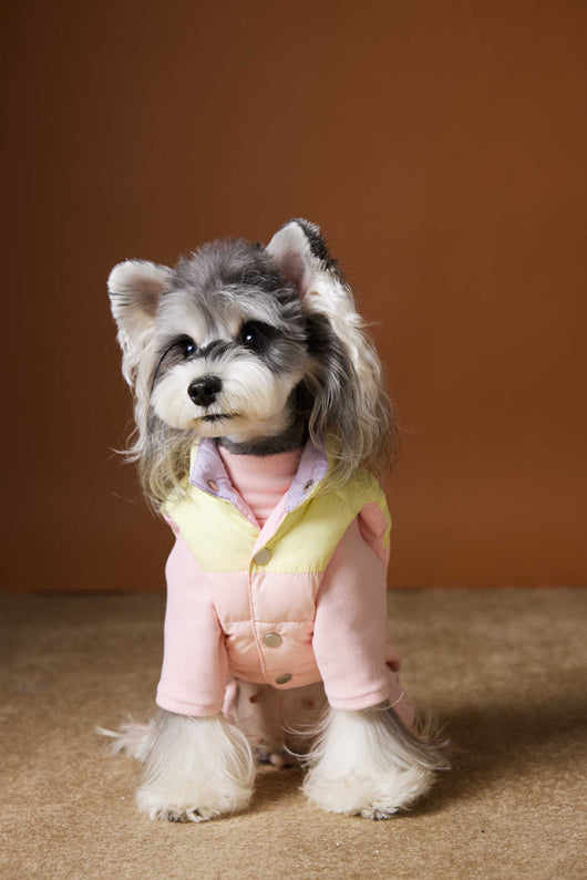 Chaleco Acolchado de Invierno para Perros Pequeños - Teddy, Schnauzer, Bichón - Image 26
