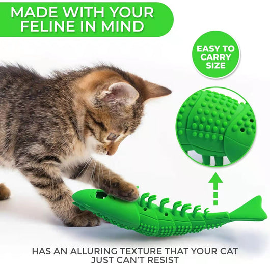 Juguete Interactivo de Catnip con Limpieza Dental 360° para Gatos - Image 4