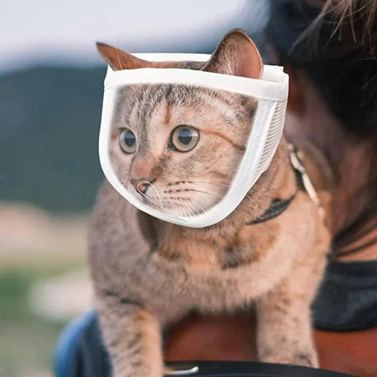 Bozal Respirable para Mascotas - Perros y Gatos Baño y Aseo - Image 5