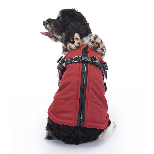 Abrigo de Cachemira para Mascotas - Colección Invierno - Image 7