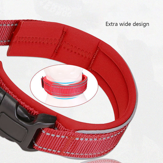 Collar Reflectante para Perros en Poliéster Resistente - Image 21