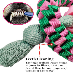 Juguete Masticable Interactivo para Perros - Nylon y Caucho Natural - Image 9