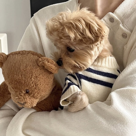 Suéter Tejido Cálido para Mascotas Estilo Coreano Otoño Invierno - Image 24