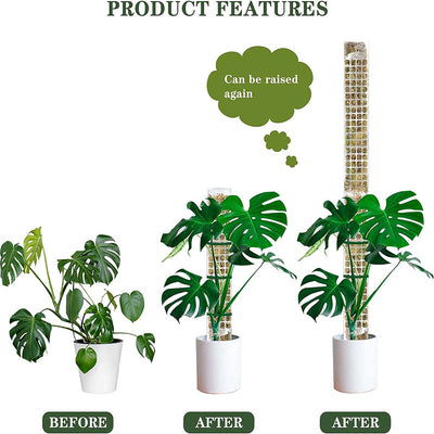 Soporte de Musgo Plástico para Plantas Trepadoras y Enredaderas - Image 3