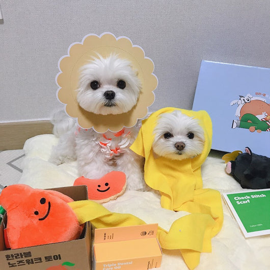 Juguete Sonoro para Perros Naranja Tibetano - Diseño Original de Comercio Exterior - Image 4