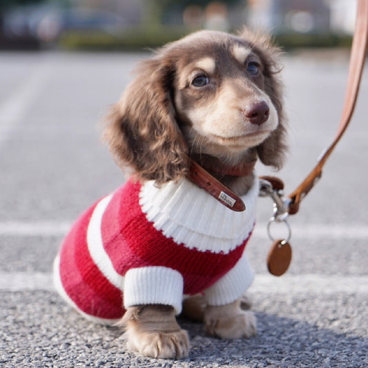 Suéter Abrigado para Perros Pequeños y Gatos - Tejido Grueso y Cálido