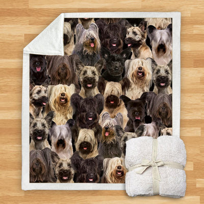 Manta de Franela Estampada para Perros de Diseño Moderno - Image 78