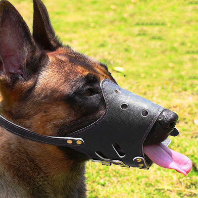 Bozal Protector Anti-Mordidas y Ladridos para Perros Medianos y Grandes - Image 4