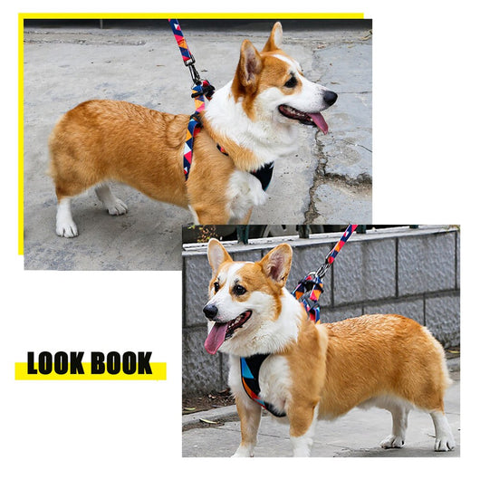 Arnés de pecho para perros con cuerda de tracción - Image 5
