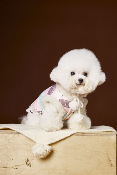 Chaleco Fair Isle para Mascotas Schnauzer Bichon Teddy - Image 15