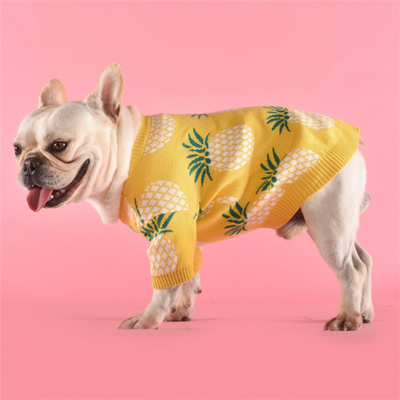 Suéter Piña Tropical