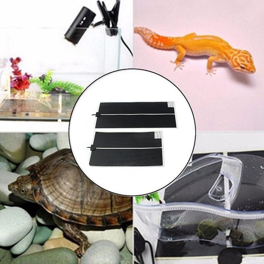 Calentador de Terrario con Termostato Ajustable para Reptiles - Image 9