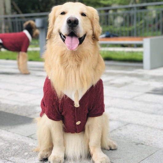 Cardigan Falso Doble para Perros Grandes - Image 4