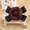 Korean top grade clothing Brooch Coffee