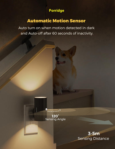 Enchufe Inteligente con Sensor de Luz 2 en 1 y LED Ambiental - Image 12