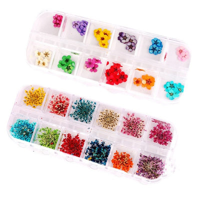 Joyería para Uñas con Flores Secas Naturales - Image 6