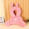 Conjunto Rosa
