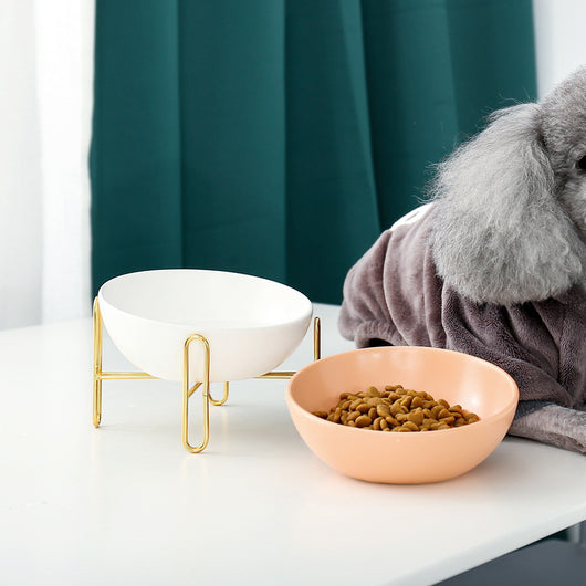 Comedero para Mascotas Premium - Image 17