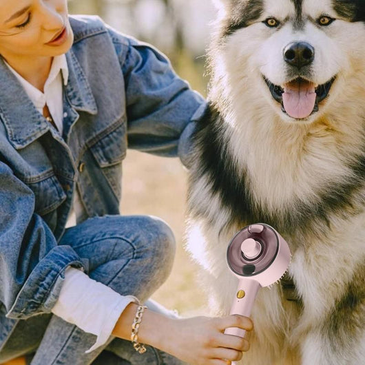 Cepillo Spa para Mascotas con Vapor - Deslanador USB Recargable para Perros y Gatos - Image 6