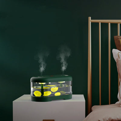 Dark green and clear oval USB humidifier with two mist outlets, shown next to its white product box. - Image 12