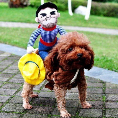 Ropa para Perros