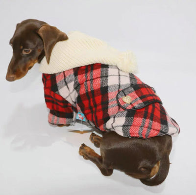 Camisa Cuadriculada para Perros - Ropa Adorable y Cómoda - Image 5