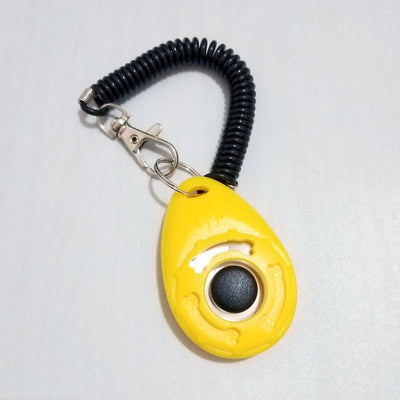 Turquoise dog training clicker with a black button and paw print, attached to a black coiled lanyard with a silver lobster clasp. - Image 11
